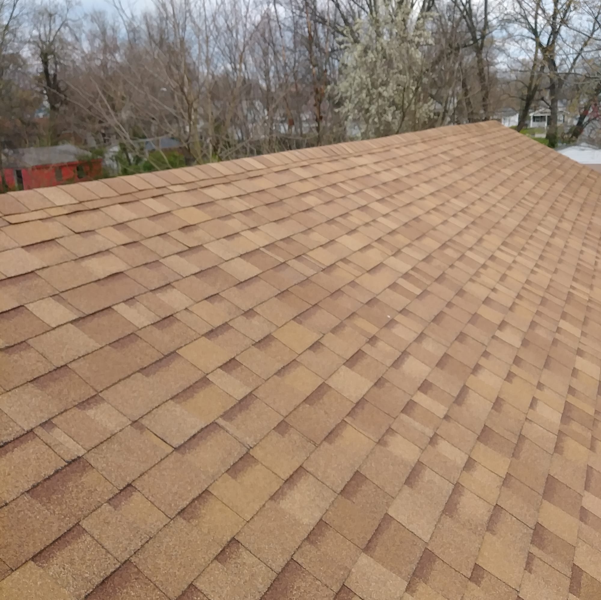 Asphalt Shingle Roofing